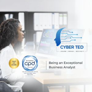Being An Exceptional Business Analyst
